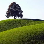 아름다운 스페인 전원풍경! 안구<b>정화</b>~