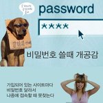 싸이트 비밀번호 <b>잊어</b> 버렸을때