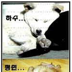 고수는 따로있다!