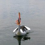 순간 포착의 <b>묘미</b>