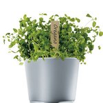 물 주는 번거로움을 없이, 플<b>아워</b> 포트