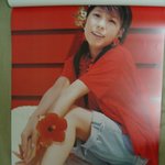 이번2006일본에서나온달력 <b>워메</b>~