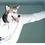 남자의 <b>실체</b>