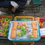 칼라 병아리 <b>단돈</b> 1000원 세상