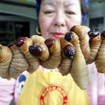 [<b>영양</b>만점 엽기음식]  대만음식인가? 태국음식인가? 설마... 한국음식...
