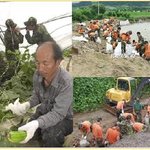 국민의 아들들이 나서다!!!