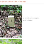 곰<b>순이</b>의 일기 '고마워, 내 첫사랑'