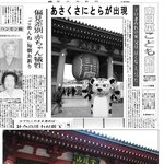 아사쿠사에 호랑이 <b>출몰</b>