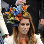 <b>나비</b>떼에게 습격당한 영국의 비어트리스 공주