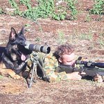 군견은 특수<b>임무</b> 수행중!