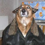 우리의 큰 형님!!