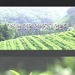 전도연,소지섭 8년전 베스트극장 함께 출연