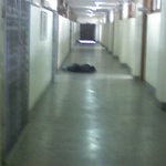 <b>복도</b>에서 벌받다가 졸려서...