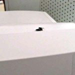 [19金] 긴급입수 p양 스캔들 문제의 그사진 (<b>노모</b>자이크)