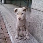 앉아있는 모습이 <b>예사</b>롭지 않은 그녀!