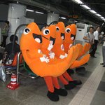 지하철에서 발견....의자에 앉은 새우떼 ㅋㅋㅋㅋ