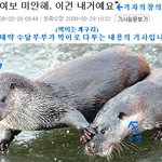 네티즌 댓글놀이 2탄!!ㅋㅋㅋㅋㅋㅋㅋㅋㅋ