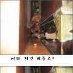 <b>비틀즈</b> 하나 먹기도 이렇게 어려워서야,, 참-_ -