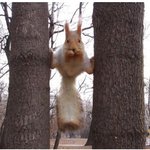 헛 <b>냠냠</b>ㅋㅋㅋ 참 맛나네요