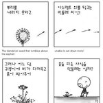 [<b>소망</b>둥이 팡세] 070613