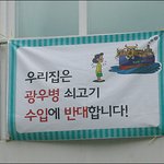 과천에 <b>집집</b>마다 '쇠고기 수입 반대' 현수막