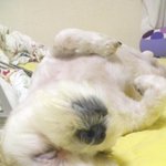 우리집 어르신을 소개합니다!!