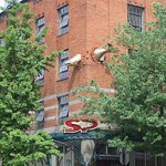 건물 <b>외벽</b>에 갇힌 물고기