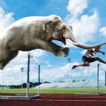 포샵 힘 빌려본 <b>발칙</b>한 상상들~!