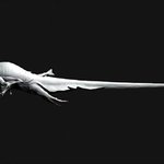 영화 괴물.. 처음엔 귀여웠던괴물 이렇게 진화했다! 7살이라니....