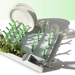 <b>허브</b>를 키우는 접시 건조기