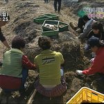 강수정 아나운서 <b>팬티</b>노출...