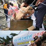 이천 무개념 <b>시위</b>현장