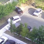 막장<b>주차</b>의 끝을 보여주마!