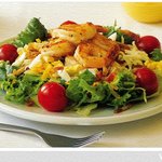 패밀리레스토랑 카피 레시피로 풀코스 요리를!