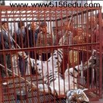 중국의 충격적인 호랑이 <b>도살</b> 장면