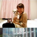 뉴욕서 <b>잠시</b> 돌아온 서민정의 사진들