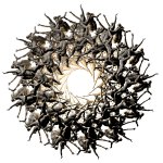 <b>램프</b> 이름이 저주 받은 자들?!!