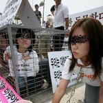 개고기 반대하는 단체 엽기 퍼포먼스
