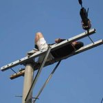 <b>전봇대</b> 위에서 자고 있던 사람