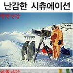 난감 <b>시추에이션</b>