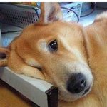 엄마 <b>저</b> 한쪽<b>눈</b>이 안보여요.....왜이러죠