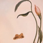 그림 속 그림.. 더블 <b>비전</b>!
