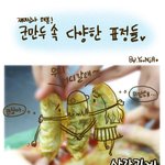 ★● 군만두 속 <b>다양</b>한 표정들! ●★