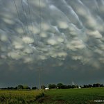 <b>엠보싱</b> 구름? 특이구름 다 모여!