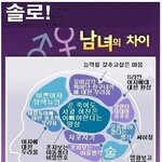 솔로 여성 뇌<b>구조</b> vs 솔로 남성 뇌<b>구조</b>
