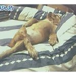 와우 <b>요염</b>하게도 잠들었네~