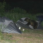 러시아 여행 갈땐 곰 <b>음식</b>도 준비하세요~