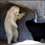<b>손님</b>, 키가 이정도는 되야 <b>입장</b>하실수 있습니다.