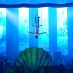 시원한 여름 콘서트 - 손호영 under the <b>sea</b>