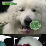 <b>상근</b>이 가족들과 상봉하는 장면!!